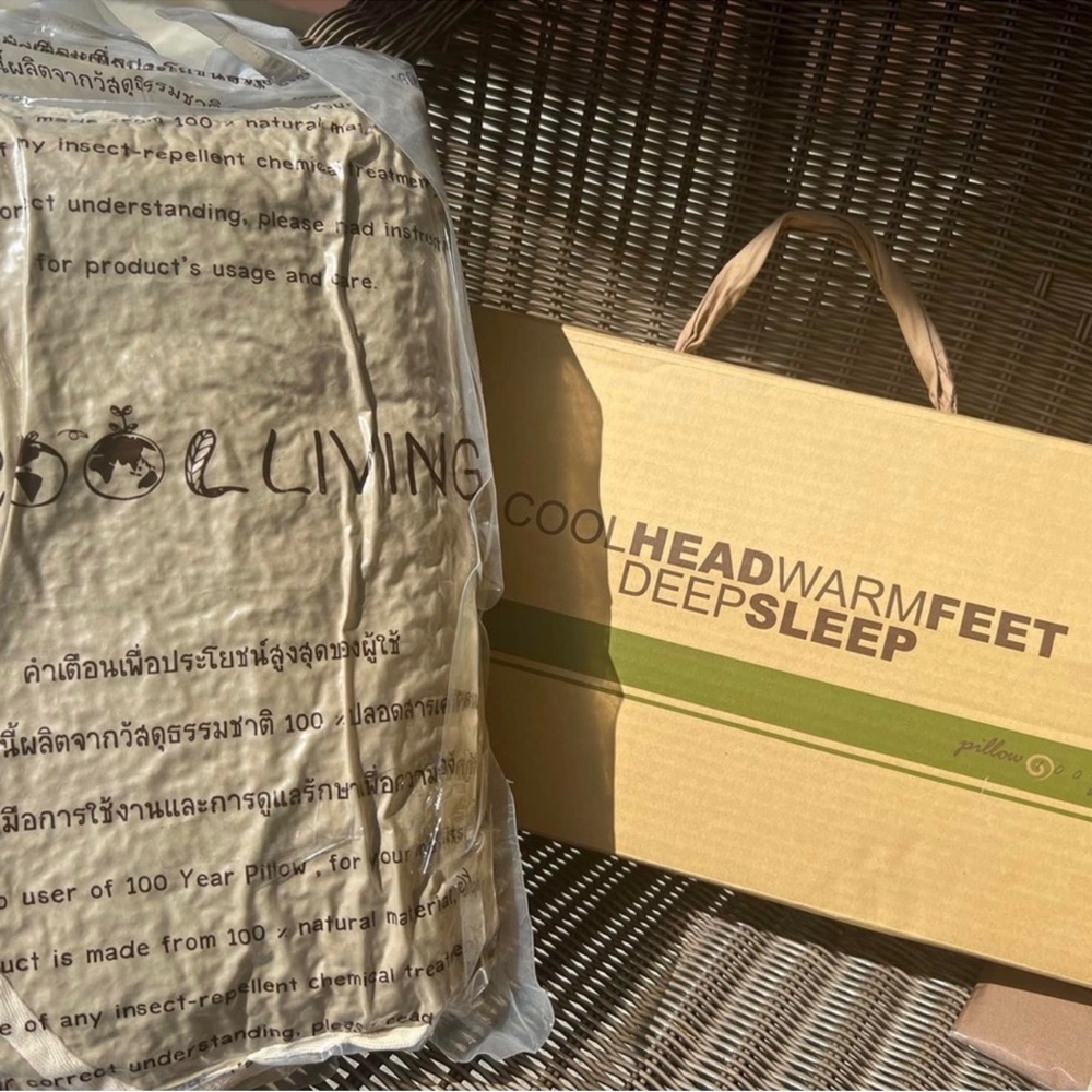 Tan Organic buckwheat Pillow Set with Textured Design